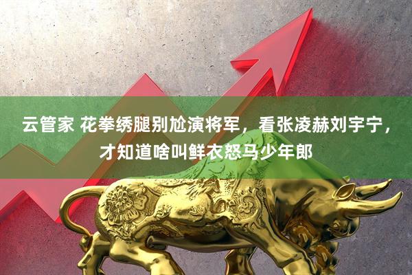 云管家 花拳绣腿别尬演将军，看张凌赫刘宇宁，才知道啥叫鲜衣怒马少年郎